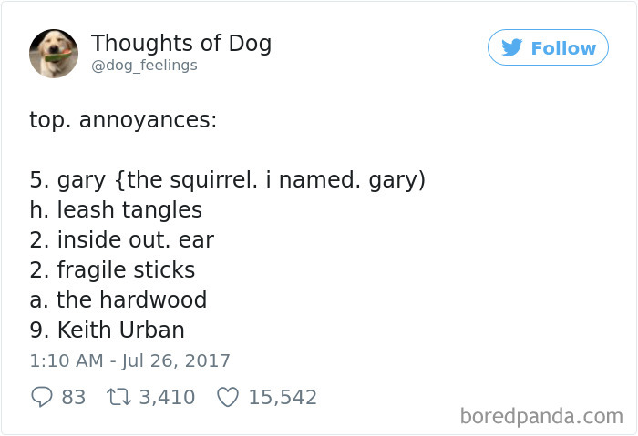 182 Of The Funniest Dog Thoughts That Dog Owners Will Understand Too Well 182 Of The Funniest Dog Thoughts That Dog Owners Will Understand Too Well