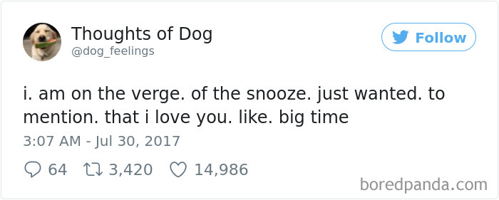 182 Of The Funniest Dog Thoughts That Dog Owners Will Understand Too Well 182 Of The Funniest Dog Thoughts That Dog Owners Will Understand Too Well