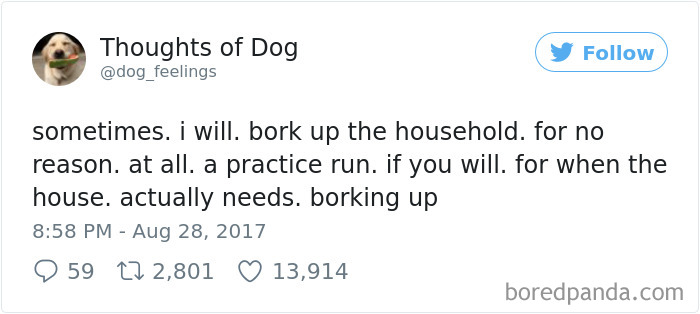 182 Of The Funniest Dog Thoughts That Dog Owners Will Understand Too Well 182 Of The Funniest Dog Thoughts That Dog Owners Will Understand Too Well