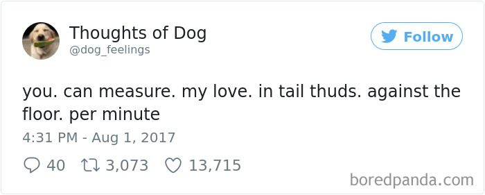 182 Of The Funniest Dog Thoughts That Dog Owners Will Understand Too Well 182 Of The Funniest Dog Thoughts That Dog Owners Will Understand Too Well