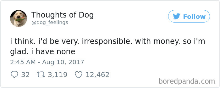 182 Of The Funniest Dog Thoughts That Dog Owners Will Understand Too Well 182 Of The Funniest Dog Thoughts That Dog Owners Will Understand Too Well