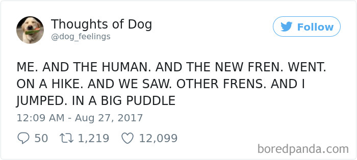 182 Of The Funniest Dog Thoughts That Dog Owners Will Understand Too Well 182 Of The Funniest Dog Thoughts That Dog Owners Will Understand Too Well