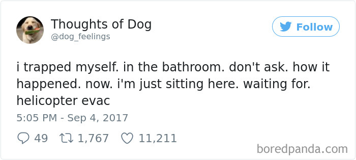 182 Of The Funniest Dog Thoughts That Dog Owners Will Understand Too Well 182 Of The Funniest Dog Thoughts That Dog Owners Will Understand Too Well