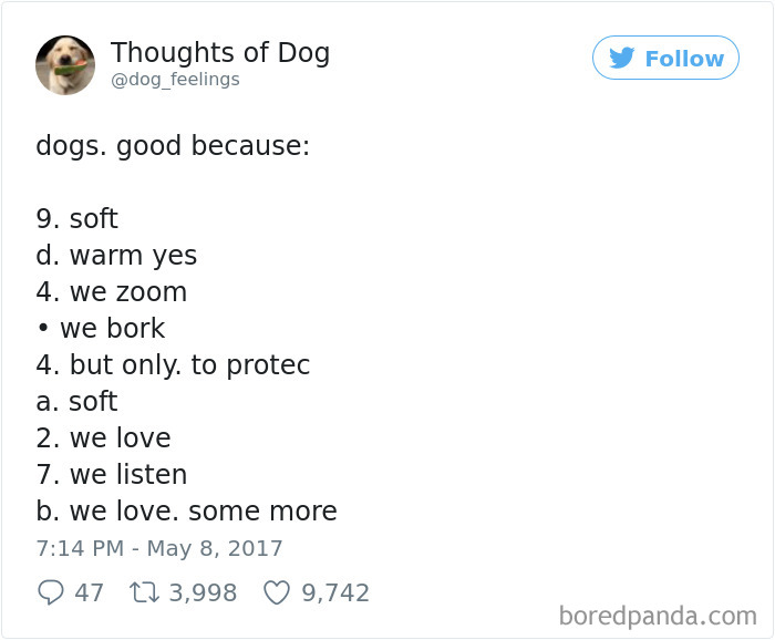182 Of The Funniest Dog Thoughts That Dog Owners Will Understand Too Well 182 Of The Funniest Dog Thoughts That Dog Owners Will Understand Too Well