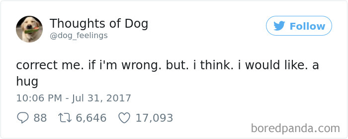 182 Of The Funniest Dog Thoughts That Dog Owners Will Understand Too Well 182 Of The Funniest Dog Thoughts That Dog Owners Will Understand Too Well