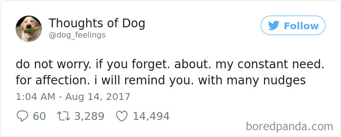 182 Of The Funniest Dog Thoughts That Dog Owners Will Understand Too Well 182 Of The Funniest Dog Thoughts That Dog Owners Will Understand Too Well
