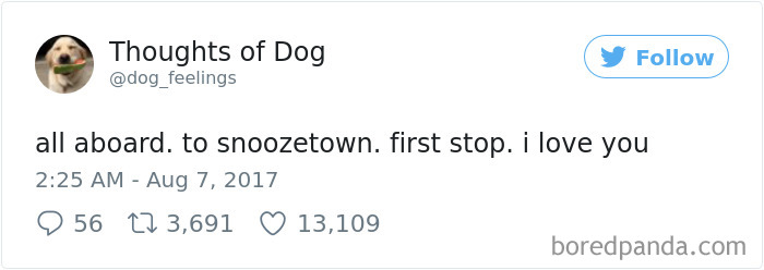 182 Of The Funniest Dog Thoughts That Dog Owners Will Understand Too Well 182 Of The Funniest Dog Thoughts That Dog Owners Will Understand Too Well