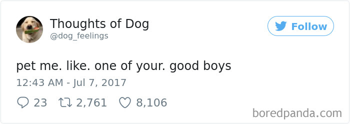182 Of The Funniest Dog Thoughts That Dog Owners Will Understand Too Well 182 Of The Funniest Dog Thoughts That Dog Owners Will Understand Too Well