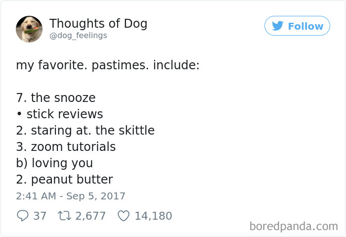 182 Of The Funniest Dog Thoughts That Dog Owners Will Understand Too Well 182 Of The Funniest Dog Thoughts That Dog Owners Will Understand Too Well