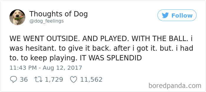 182 Of The Funniest Dog Thoughts That Dog Owners Will Understand Too Well 182 Of The Funniest Dog Thoughts That Dog Owners Will Understand Too Well
