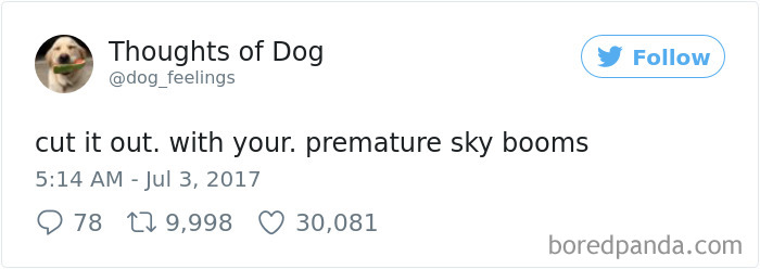 182 Of The Funniest Dog Thoughts That Dog Owners Will Understand Too Well 182 Of The Funniest Dog Thoughts That Dog Owners Will Understand Too Well
