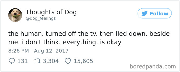 182 Of The Funniest Dog Thoughts That Dog Owners Will Understand Too Well 182 Of The Funniest Dog Thoughts That Dog Owners Will Understand Too Well