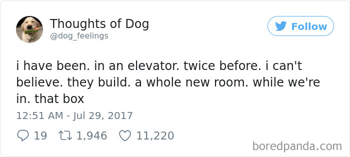 182 Of The Funniest Dog Thoughts That Dog Owners Will Understand Too Well 182 Of The Funniest Dog Thoughts That Dog Owners Will Understand Too Well