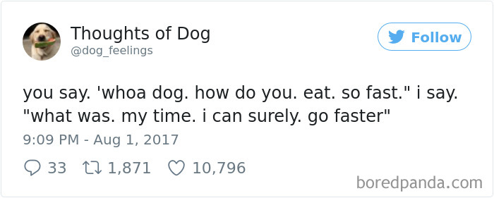 182 Of The Funniest Dog Thoughts That Dog Owners Will Understand Too Well 182 Of The Funniest Dog Thoughts That Dog Owners Will Understand Too Well