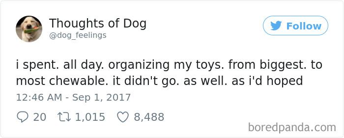 182 Of The Funniest Dog Thoughts That Dog Owners Will Understand Too Well 182 Of The Funniest Dog Thoughts That Dog Owners Will Understand Too Well