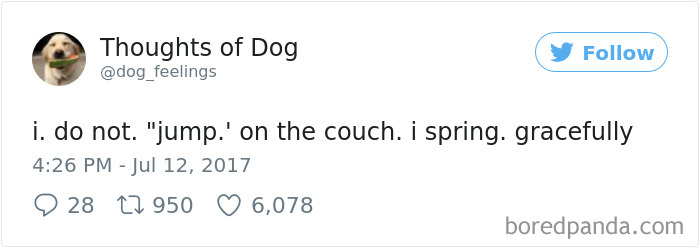 182 Of The Funniest Dog Thoughts That Dog Owners Will Understand Too Well 182 Of The Funniest Dog Thoughts That Dog Owners Will Understand Too Well
