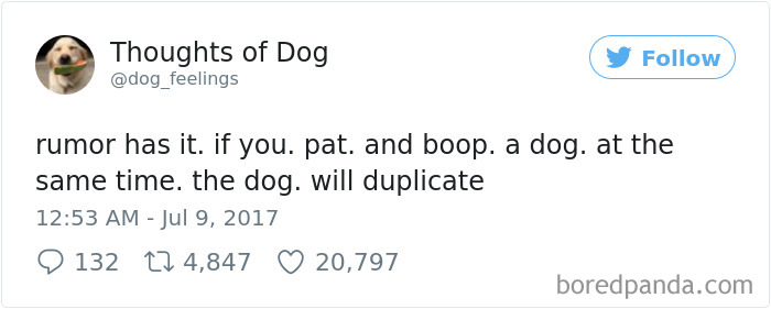 182 Of The Funniest Dog Thoughts That Dog Owners Will Understand Too Well 182 Of The Funniest Dog Thoughts That Dog Owners Will Understand Too Well
