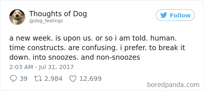 182 Of The Funniest Dog Thoughts That Dog Owners Will Understand Too Well 182 Of The Funniest Dog Thoughts That Dog Owners Will Understand Too Well