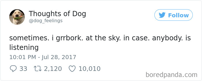 182 Of The Funniest Dog Thoughts That Dog Owners Will Understand Too Well 182 Of The Funniest Dog Thoughts That Dog Owners Will Understand Too Well