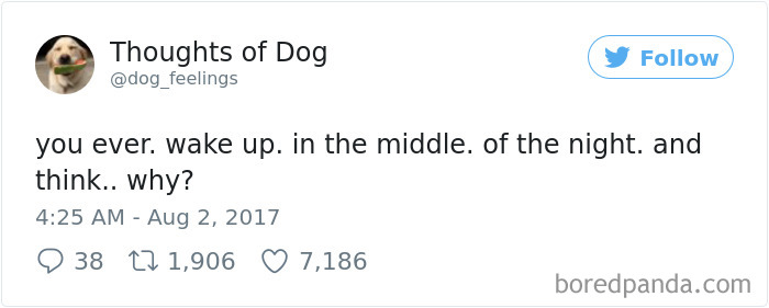 182 Of The Funniest Dog Thoughts That Dog Owners Will Understand Too Well 182 Of The Funniest Dog Thoughts That Dog Owners Will Understand Too Well