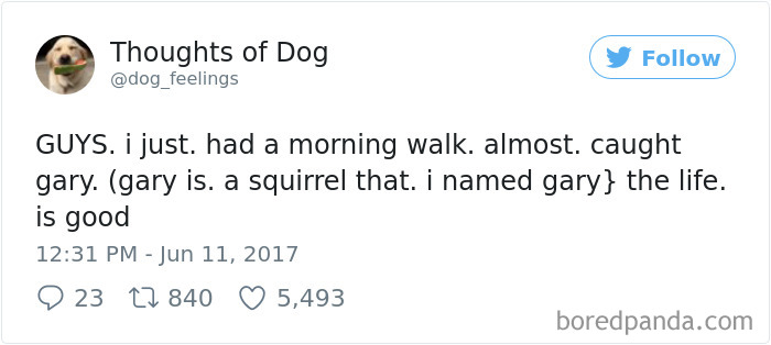 182 Of The Funniest Dog Thoughts That Dog Owners Will Understand Too Well 182 Of The Funniest Dog Thoughts That Dog Owners Will Understand Too Well