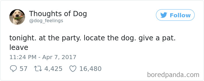 182 Of The Funniest Dog Thoughts That Dog Owners Will Understand Too Well 182 Of The Funniest Dog Thoughts That Dog Owners Will Understand Too Well