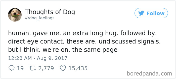 182 Of The Funniest Dog Thoughts That Dog Owners Will Understand Too Well 182 Of The Funniest Dog Thoughts That Dog Owners Will Understand Too Well