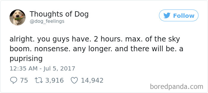 182 Of The Funniest Dog Thoughts That Dog Owners Will Understand Too Well 182 Of The Funniest Dog Thoughts That Dog Owners Will Understand Too Well