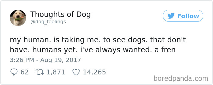 182 Of The Funniest Dog Thoughts That Dog Owners Will Understand Too Well 182 Of The Funniest Dog Thoughts That Dog Owners Will Understand Too Well