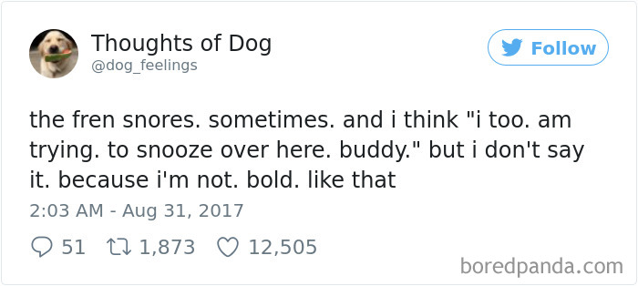 182 Of The Funniest Dog Thoughts That Dog Owners Will Understand Too Well 182 Of The Funniest Dog Thoughts That Dog Owners Will Understand Too Well