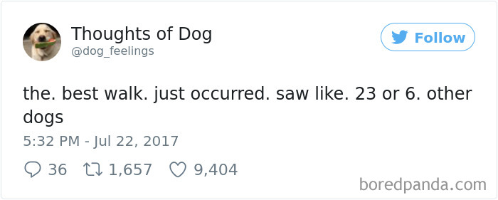 182 Of The Funniest Dog Thoughts That Dog Owners Will Understand Too Well 182 Of The Funniest Dog Thoughts That Dog Owners Will Understand Too Well