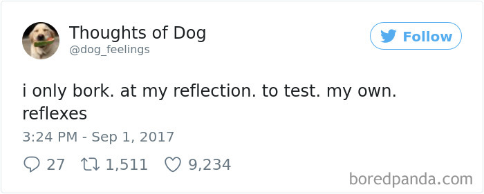 182 Of The Funniest Dog Thoughts That Dog Owners Will Understand Too Well 182 Of The Funniest Dog Thoughts That Dog Owners Will Understand Too Well