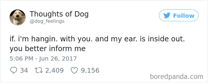 182 Of The Funniest Dog Thoughts That Dog Owners Will Understand Too Well 182 Of The Funniest Dog Thoughts That Dog Owners Will Understand Too Well