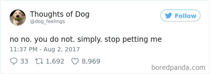 182 Of The Funniest Dog Thoughts That Dog Owners Will Understand Too Well 182 Of The Funniest Dog Thoughts That Dog Owners Will Understand Too Well