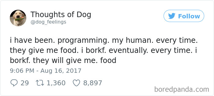 182 Of The Funniest Dog Thoughts That Dog Owners Will Understand Too Well 182 Of The Funniest Dog Thoughts That Dog Owners Will Understand Too Well