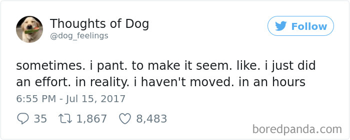 182 Of The Funniest Dog Thoughts That Dog Owners Will Understand Too Well 182 Of The Funniest Dog Thoughts That Dog Owners Will Understand Too Well