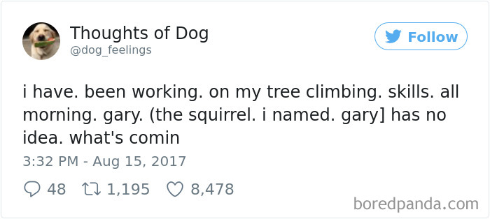 182 Of The Funniest Dog Thoughts That Dog Owners Will Understand Too Well 182 Of The Funniest Dog Thoughts That Dog Owners Will Understand Too Well