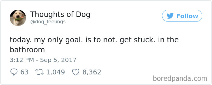 182 Of The Funniest Dog Thoughts That Dog Owners Will Understand Too Well 182 Of The Funniest Dog Thoughts That Dog Owners Will Understand Too Well