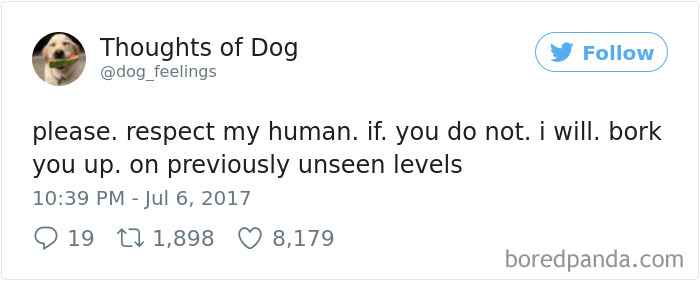 182 Of The Funniest Dog Thoughts That Dog Owners Will Understand Too Well 182 Of The Funniest Dog Thoughts That Dog Owners Will Understand Too Well