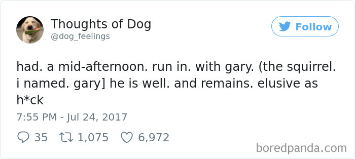 182 Of The Funniest Dog Thoughts That Dog Owners Will Understand Too Well 182 Of The Funniest Dog Thoughts That Dog Owners Will Understand Too Well