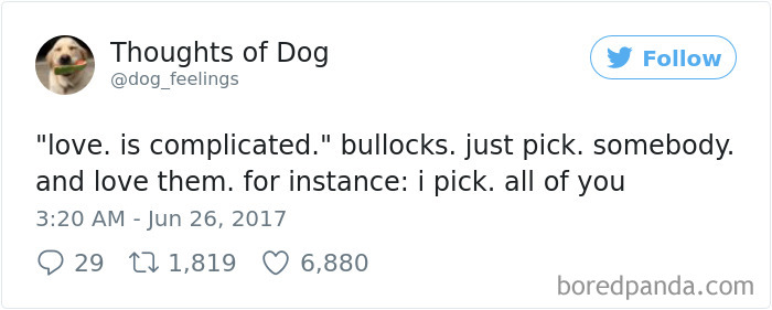 182 Of The Funniest Dog Thoughts That Dog Owners Will Understand Too Well 182 Of The Funniest Dog Thoughts That Dog Owners Will Understand Too Well