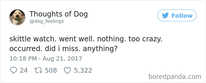 182 Of The Funniest Dog Thoughts That Dog Owners Will Understand Too Well 182 Of The Funniest Dog Thoughts That Dog Owners Will Understand Too Well
