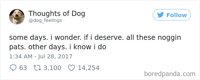 182 Of The Funniest Dog Thoughts That Dog Owners Will Understand Too Well 182 Of The Funniest Dog Thoughts That Dog Owners Will Understand Too Well