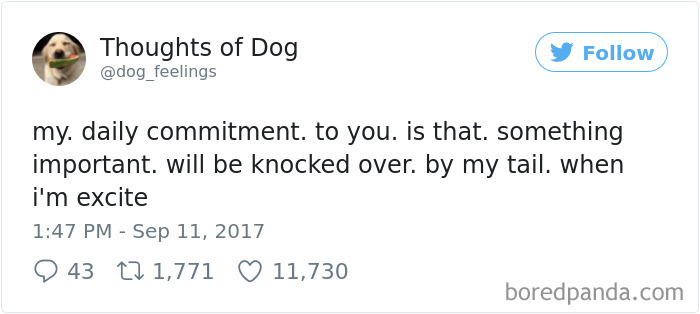 182 Of The Funniest Dog Thoughts That Dog Owners Will Understand Too Well 182 Of The Funniest Dog Thoughts That Dog Owners Will Understand Too Well