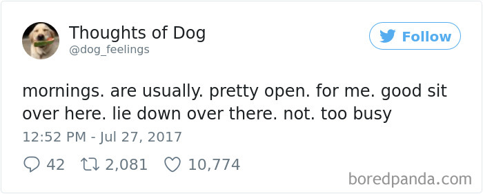 182 Of The Funniest Dog Thoughts That Dog Owners Will Understand Too Well 182 Of The Funniest Dog Thoughts That Dog Owners Will Understand Too Well