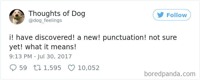 182 Of The Funniest Dog Thoughts That Dog Owners Will Understand Too Well 182 Of The Funniest Dog Thoughts That Dog Owners Will Understand Too Well