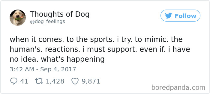 182 Of The Funniest Dog Thoughts That Dog Owners Will Understand Too Well 182 Of The Funniest Dog Thoughts That Dog Owners Will Understand Too Well