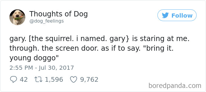 182 Of The Funniest Dog Thoughts That Dog Owners Will Understand Too Well 182 Of The Funniest Dog Thoughts That Dog Owners Will Understand Too Well