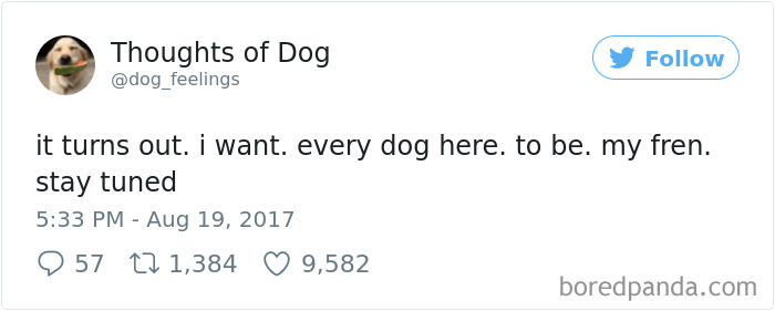 182 Of The Funniest Dog Thoughts That Dog Owners Will Understand Too Well 182 Of The Funniest Dog Thoughts That Dog Owners Will Understand Too Well
