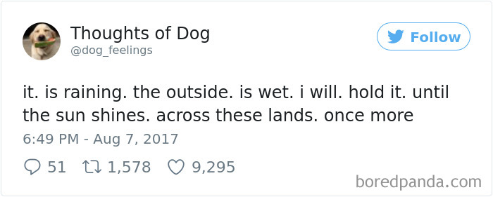 182 Of The Funniest Dog Thoughts That Dog Owners Will Understand Too Well 182 Of The Funniest Dog Thoughts That Dog Owners Will Understand Too Well